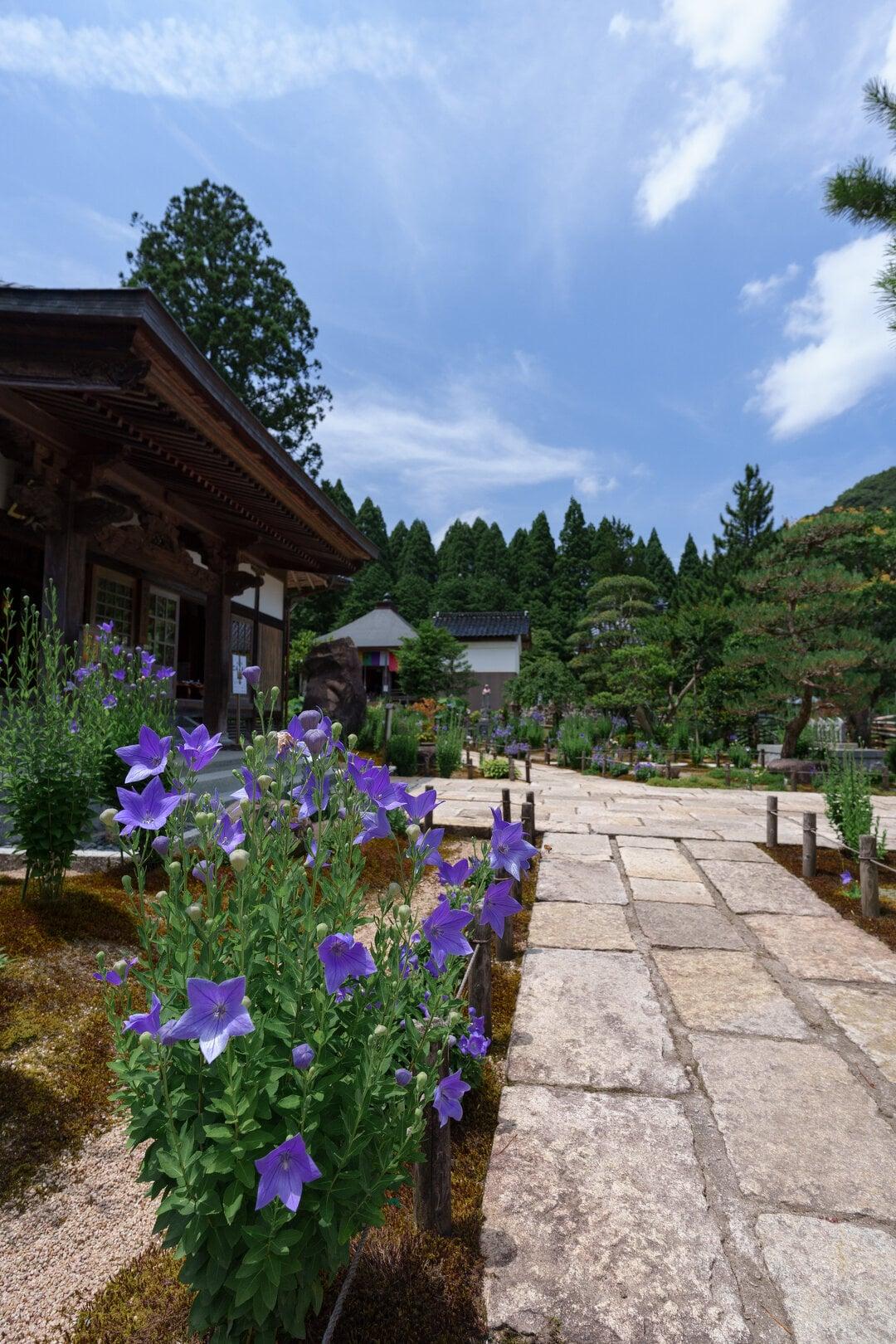 遍照寺の写真